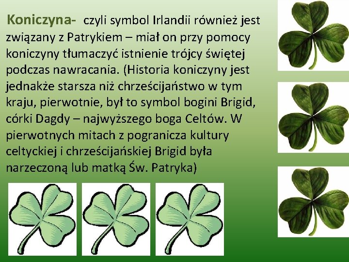  Koniczyna- czyli symbol Irlandii również jest związany z Patrykiem – miał on przy