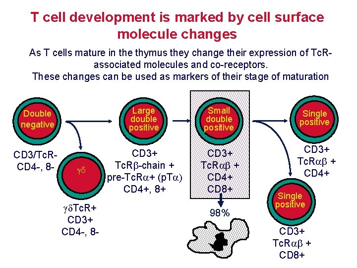 Cd3 Mature T Cells