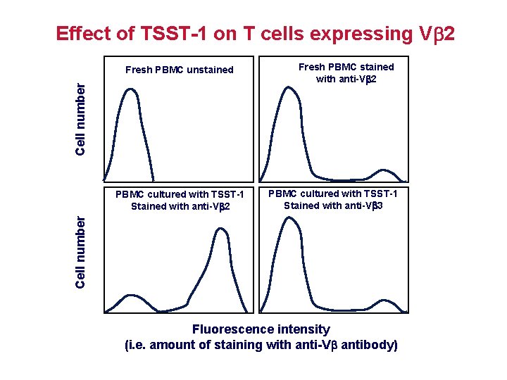 Effect of TSST-1 on T cells expressing V 2 Cell number Fresh PBMC unstained