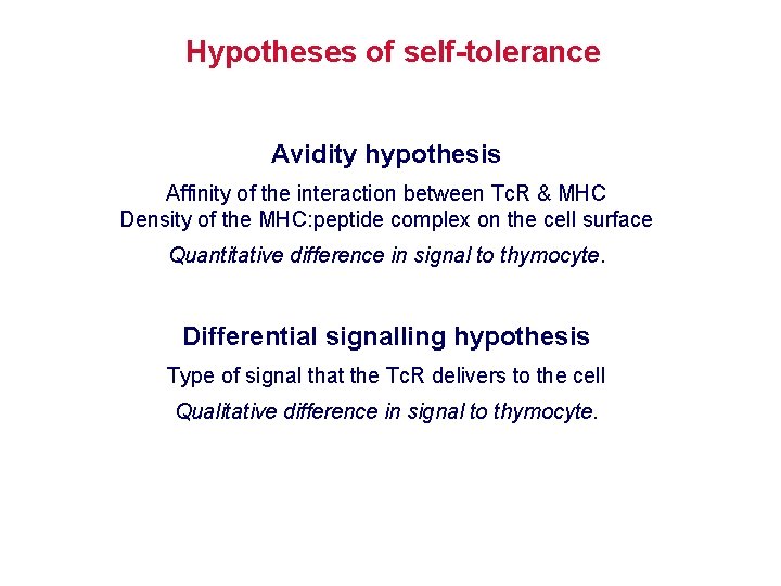 Hypotheses of self-tolerance Avidity hypothesis Affinity of the interaction between Tc. R & MHC