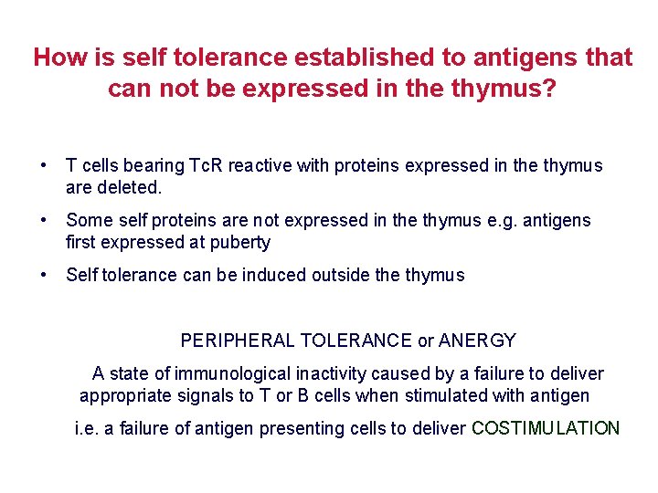 How is self tolerance established to antigens that can not be expressed in the