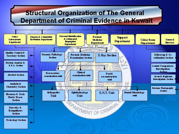 Structural Organization of The General Department of Criminal Evidence in Kuwait Crime Laboratories Department