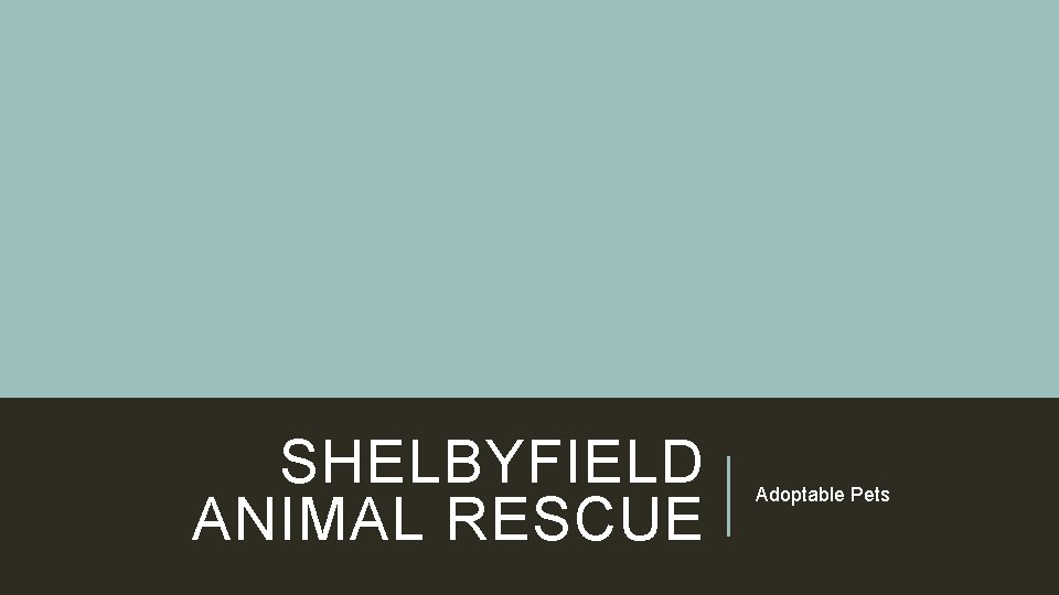 SHELBYFIELD ANIMAL RESCUE Adoptable Pets 