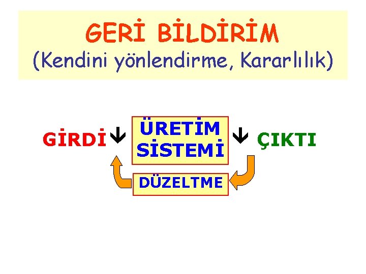 GERİ BİLDİRİM (Kendini yönlendirme, Kararlılık) ÜRETİM ÇIKTI GİRDİ SİSTEMİ DÜZELTME 