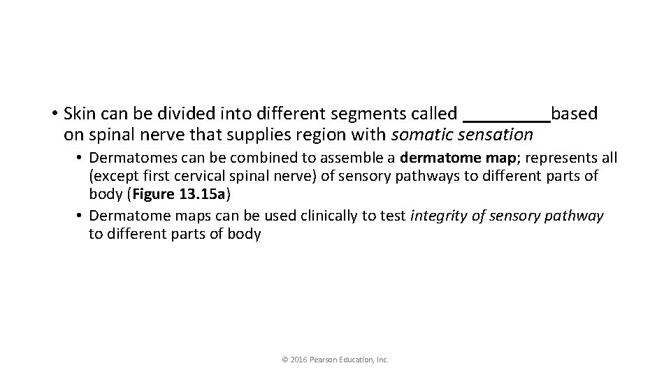  • Skin can be divided into different segments called _____based on spinal nerve