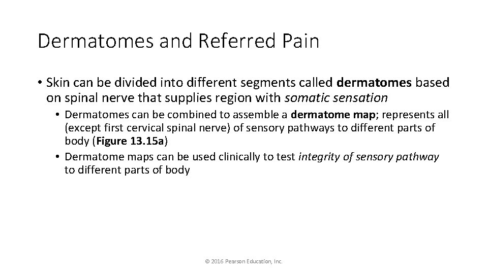 Dermatomes and Referred Pain • Skin can be divided into different segments called dermatomes