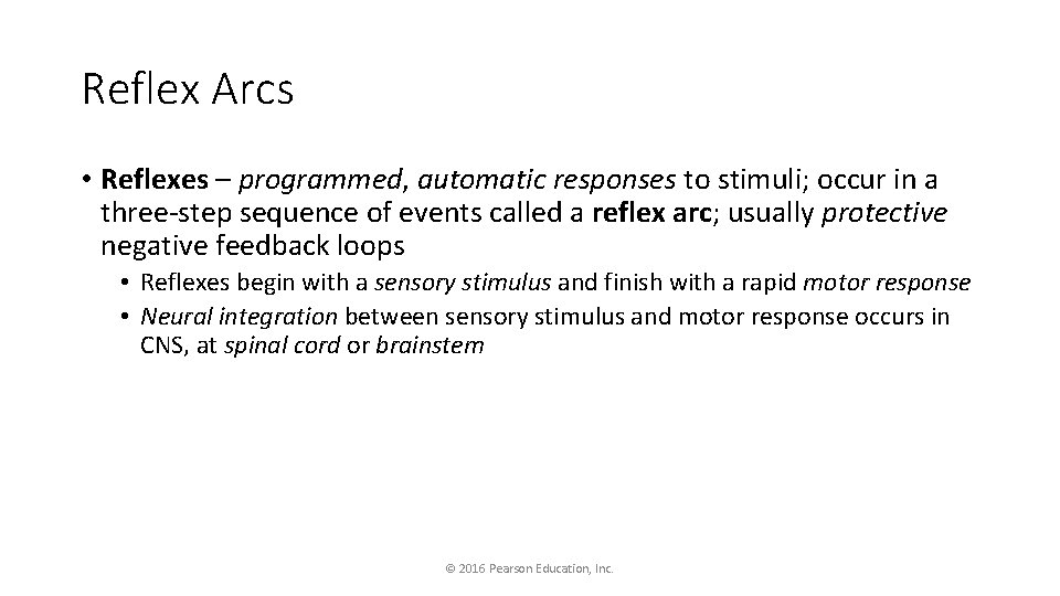 Reflex Arcs • Reflexes – programmed, automatic responses to stimuli; occur in a three-step