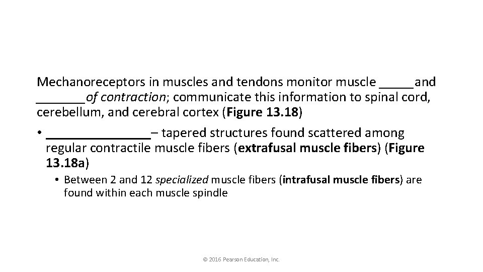 Mechanoreceptors in muscles and tendons monitor muscle _____and _______of contraction; communicate this information to