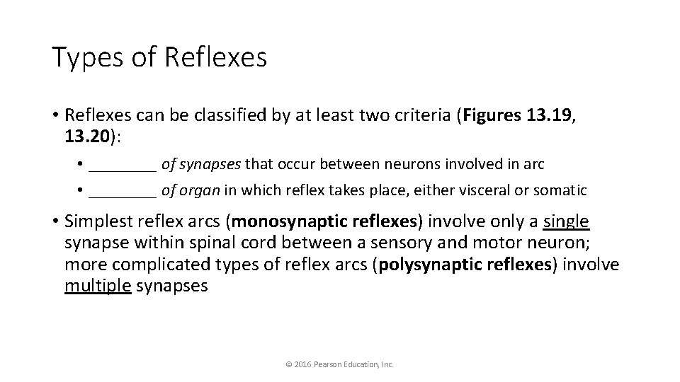 Types of Reflexes • Reflexes can be classified by at least two criteria (Figures