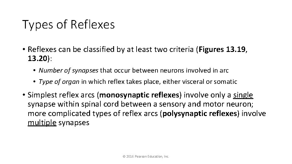 Types of Reflexes • Reflexes can be classified by at least two criteria (Figures