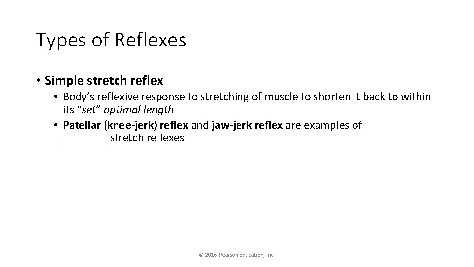 Types of Reflexes • Simple stretch reflex • Body’s reflexive response to stretching of