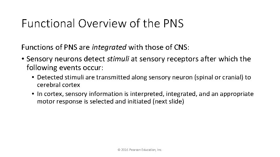 Functional Overview of the PNS Functions of PNS are integrated with those of CNS: