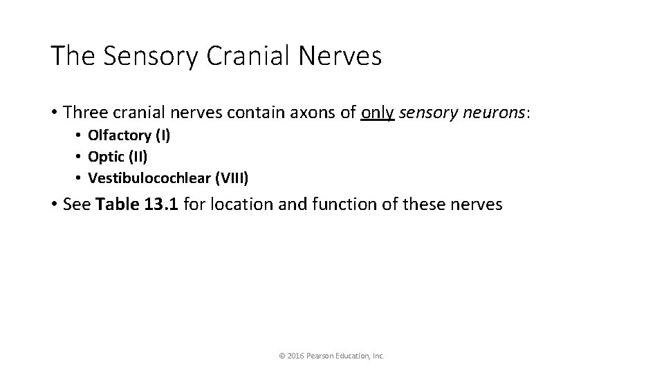 The Sensory Cranial Nerves • Three cranial nerves contain axons of only sensory neurons: