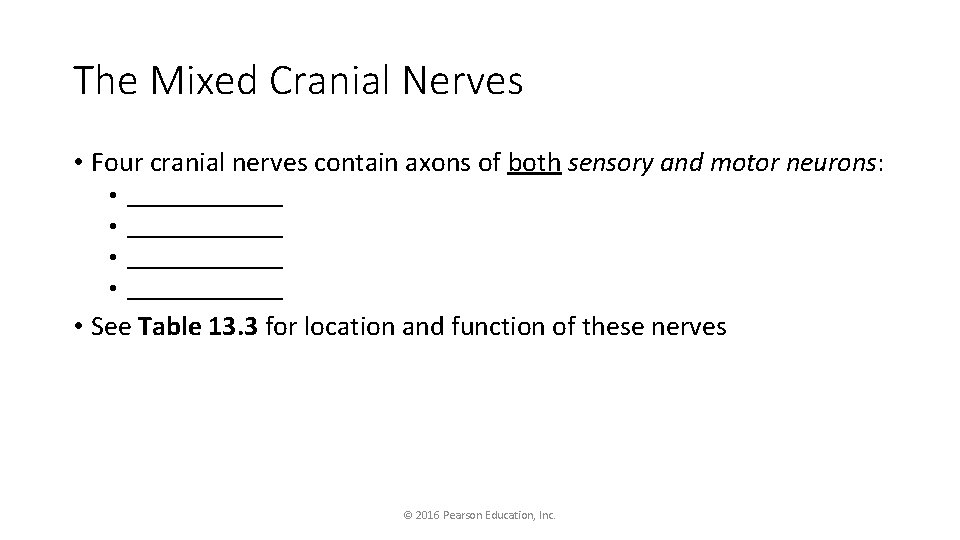 The Mixed Cranial Nerves • Four cranial nerves contain axons of both sensory and