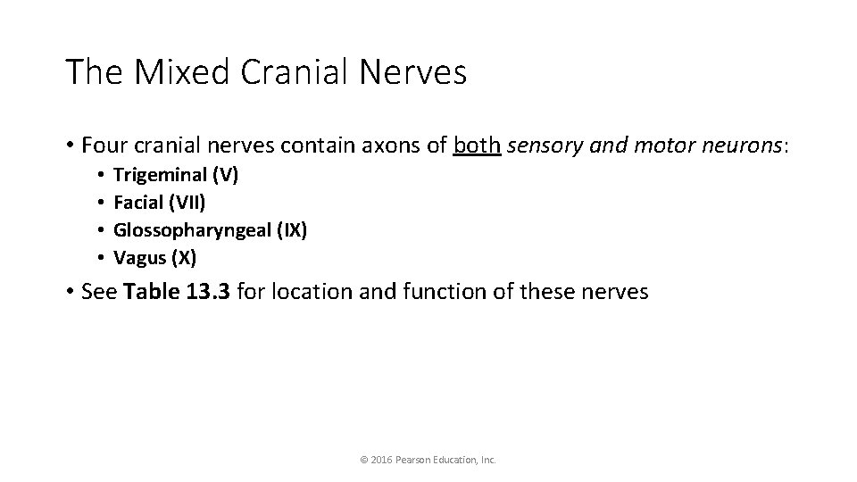 The Mixed Cranial Nerves • Four cranial nerves contain axons of both sensory and