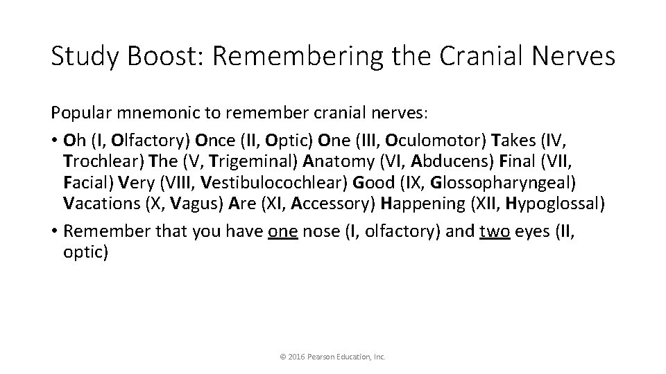 Study Boost: Remembering the Cranial Nerves Popular mnemonic to remember cranial nerves: • Oh