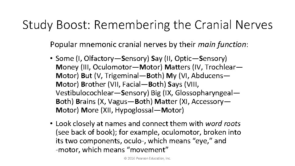 Study Boost: Remembering the Cranial Nerves Popular mnemonic cranial nerves by their main function: