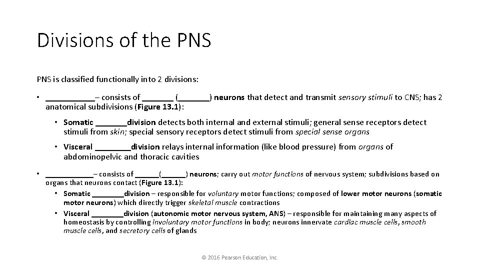 Divisions of the PNS is classified functionally into 2 divisions: • ______– consists of