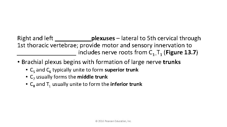 Right and left ______plexuses – lateral to 5 th cervical through 1 st thoracic