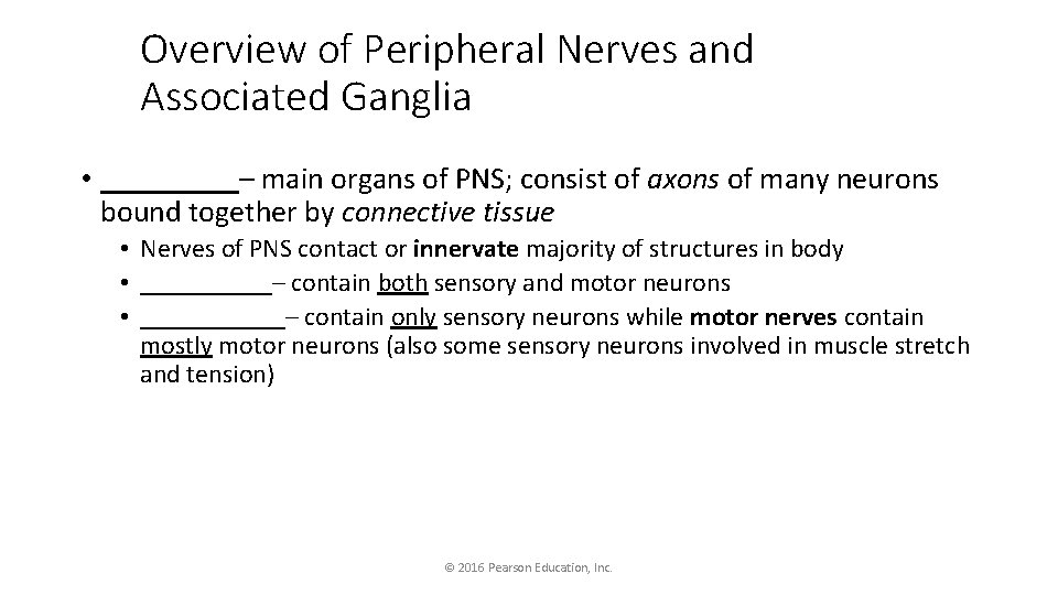 Overview of Peripheral Nerves and Associated Ganglia • _____– main organs of PNS; consist