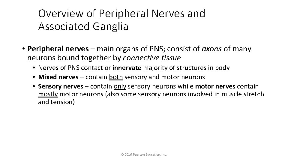 Overview of Peripheral Nerves and Associated Ganglia • Peripheral nerves – main organs of
