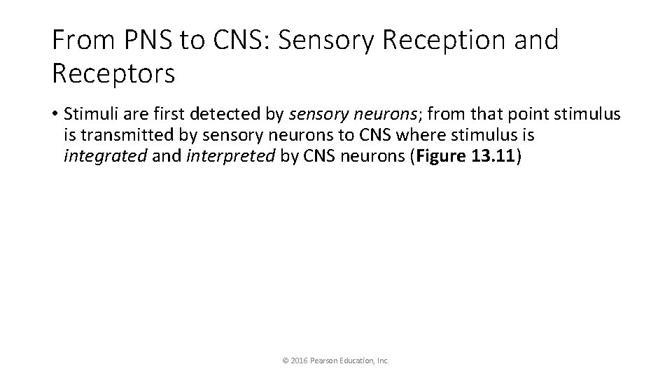 From PNS to CNS: Sensory Reception and Receptors • Stimuli are first detected by