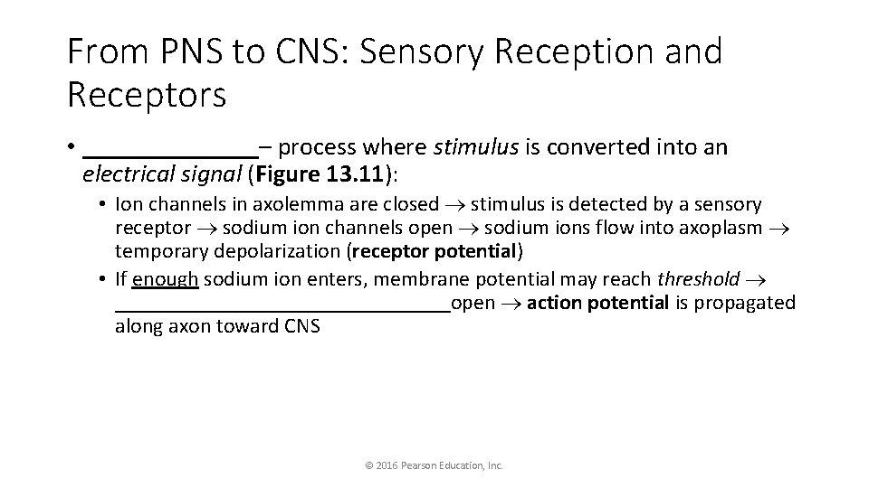 From PNS to CNS: Sensory Reception and Receptors • _______– process where stimulus is