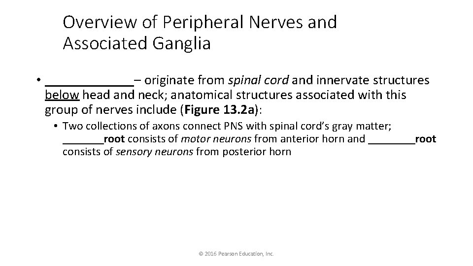 Overview of Peripheral Nerves and Associated Ganglia • _______– originate from spinal cord and
