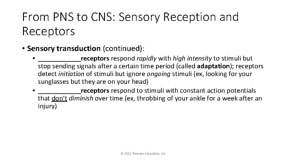 From PNS to CNS: Sensory Reception and Receptors • Sensory transduction (continued): • ______receptors
