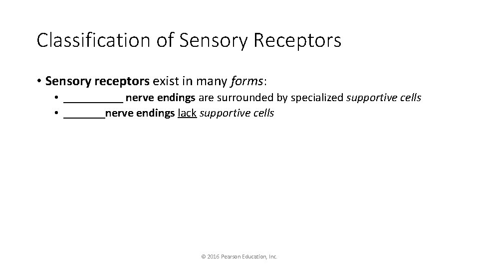 Classification of Sensory Receptors • Sensory receptors exist in many forms: • _____ nerve