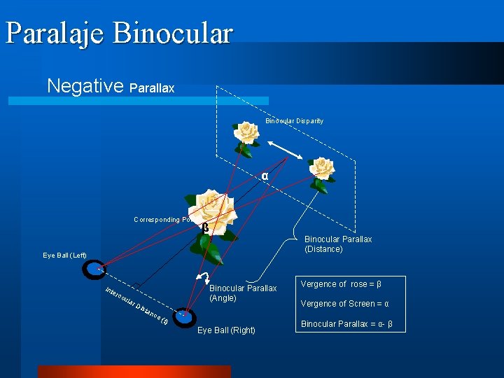 Paralaje Binocular Negative Parallax Binocular Disparity α Corresponding Point β Binocular Parallax (Distance) Eye