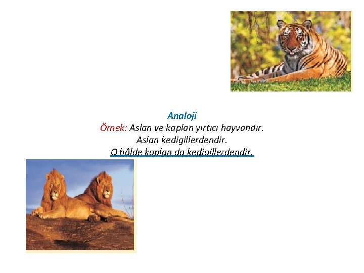 Analoji Örnek: Aslan ve kaplan yırtıcı hayvandır. Aslan kedigillerdendir. O hâlde kaplan da kedigillerdendir.