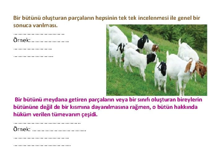 Bir bütünü oluşturan parçaların hepsinin tek incelenmesi ile genel bir sonuca varılması. ……………… Örnek: