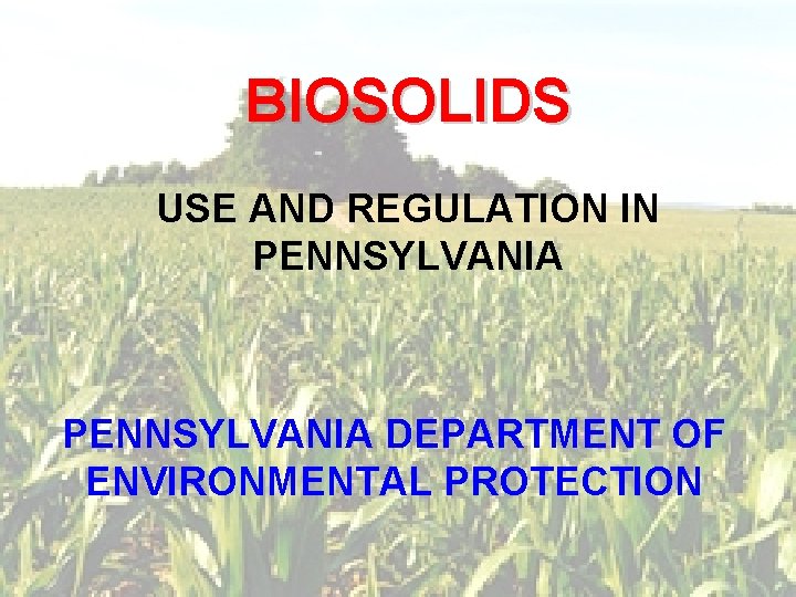 BIOSOLIDS USE AND REGULATION IN PENNSYLVANIA DEPARTMENT OF ENVIRONMENTAL PROTECTION 