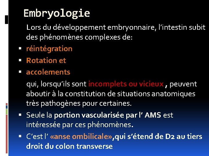 Embryologie Lors du développement embryonnaire, l’intestin subit des phénomènes complexes de: réintégration Rotation et