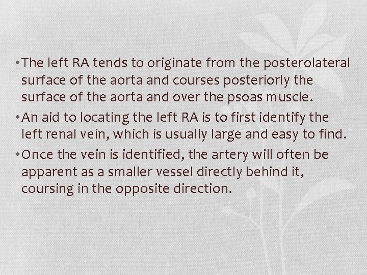  • The left RA tends to originate from the posterolateral surface of the