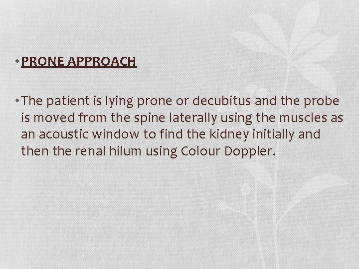  • PRONE APPROACH • The patient is lying prone or decubitus and the