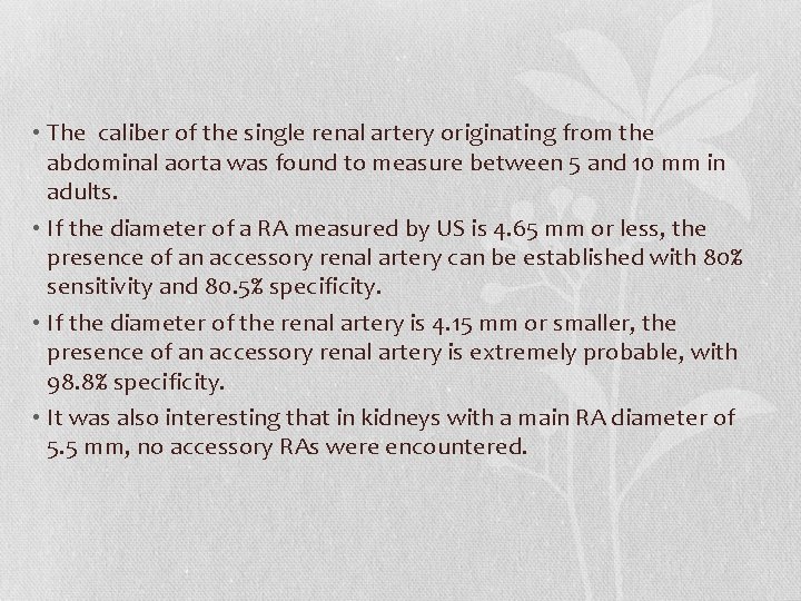  • The caliber of the single renal artery originating from the abdominal aorta