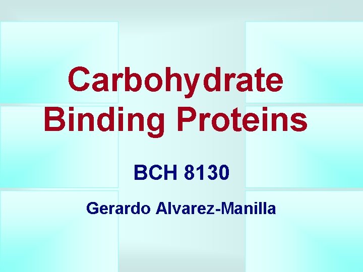 Carbohydrate Binding Proteins BCH 8130 Gerardo Alvarez-Manilla 