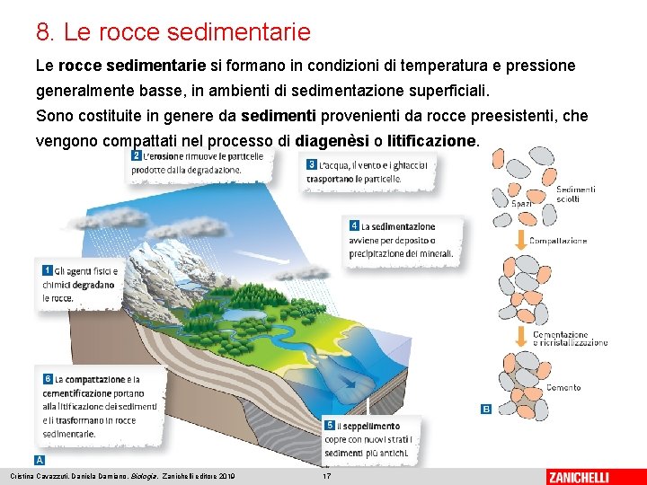 8. Le rocce sedimentarie si formano in condizioni di temperatura e pressione generalmente basse,