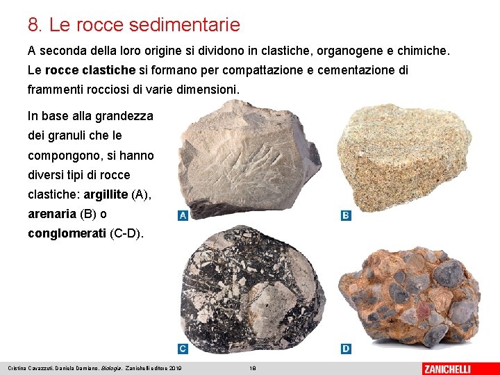 8. Le rocce sedimentarie A seconda della loro origine si dividono in clastiche, organogene