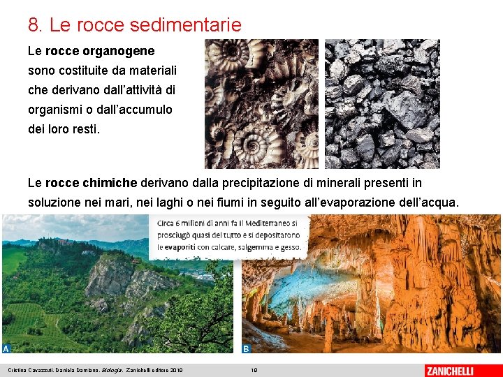 8. Le rocce sedimentarie Le rocce organogene sono costituite da materiali che derivano dall’attività