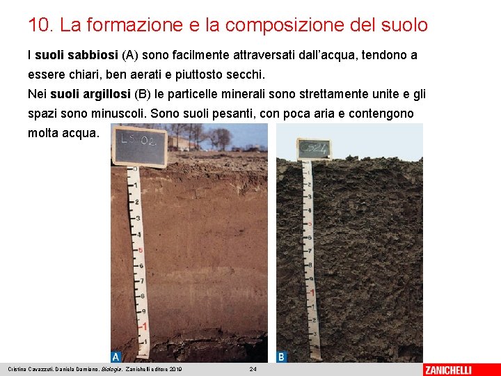 10. La formazione e la composizione del suolo I suoli sabbiosi (A) sono facilmente