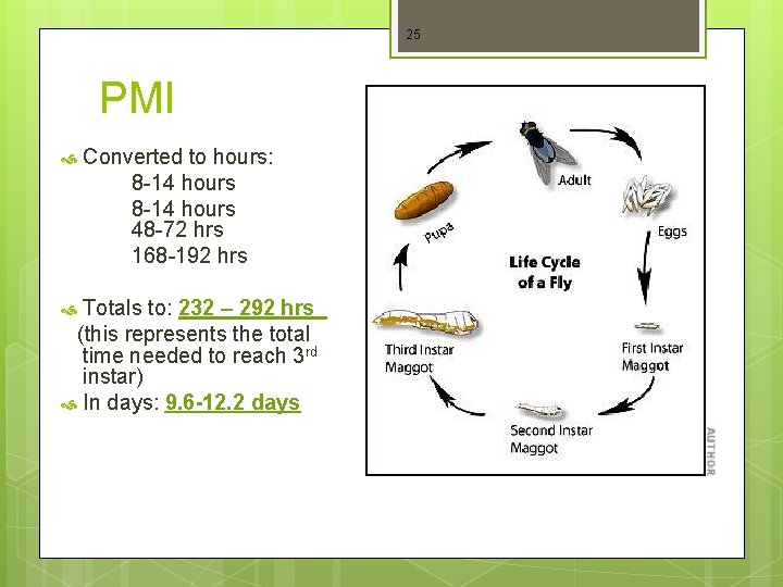 25 PMI Converted to hours: 8 -14 hours 48 -72 hrs 168 -192 hrs