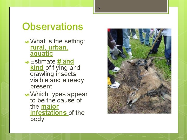 29 Observations What is the setting: rural, urban, aquatic Estimate # and kind of
