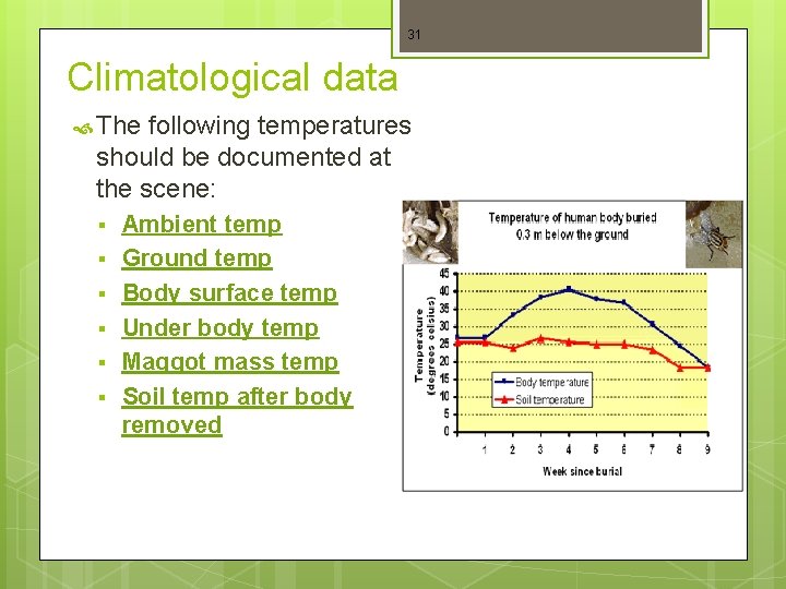 31 Climatological data The following temperatures should be documented at the scene: § §