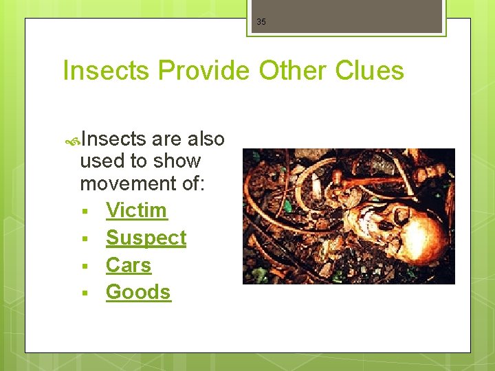 35 Insects Provide Other Clues Insects are also used to show movement of: §