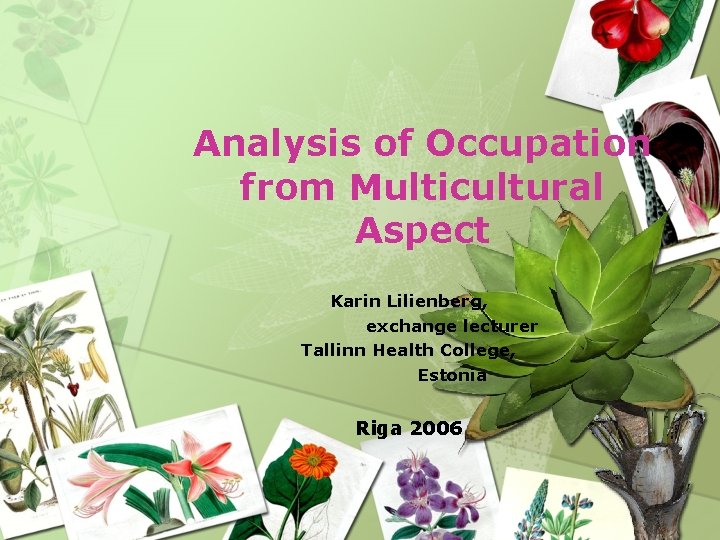 Analysis of Occupation from Multicultural Aspect Karin Lilienberg, exchange lecturer Tallinn Health College, Estonia