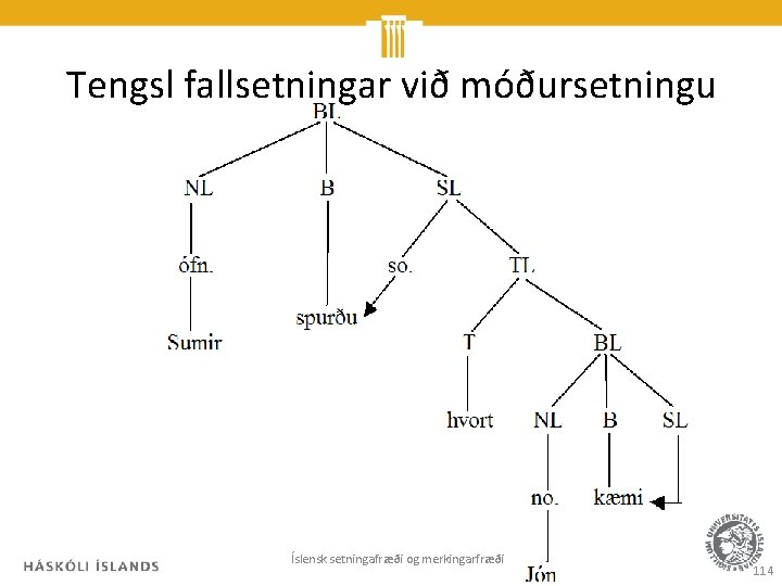 Tengsl fallsetningar við móðursetningu Íslensk setningafræði og merkingarfræði 114 