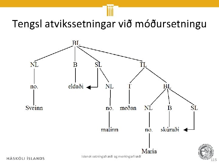 Tengsl atvikssetningar við móðursetningu Íslensk setningafræði og merkingarfræði 115 